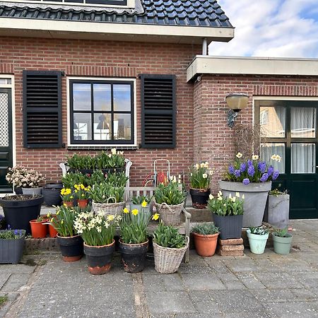 Flowerbed Voorhout Eksteriør bilde