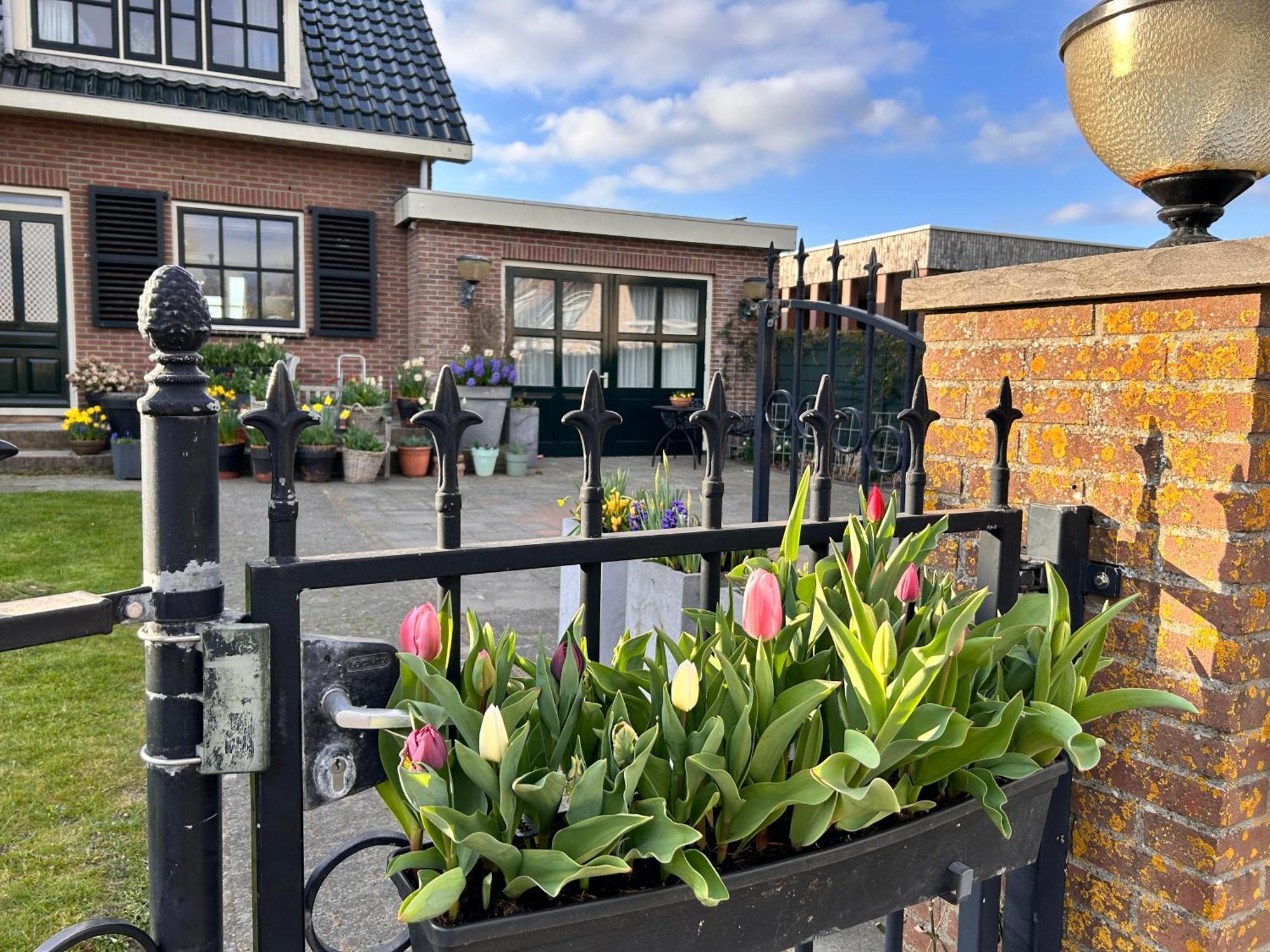 Flowerbed Voorhout Eksteriør bilde